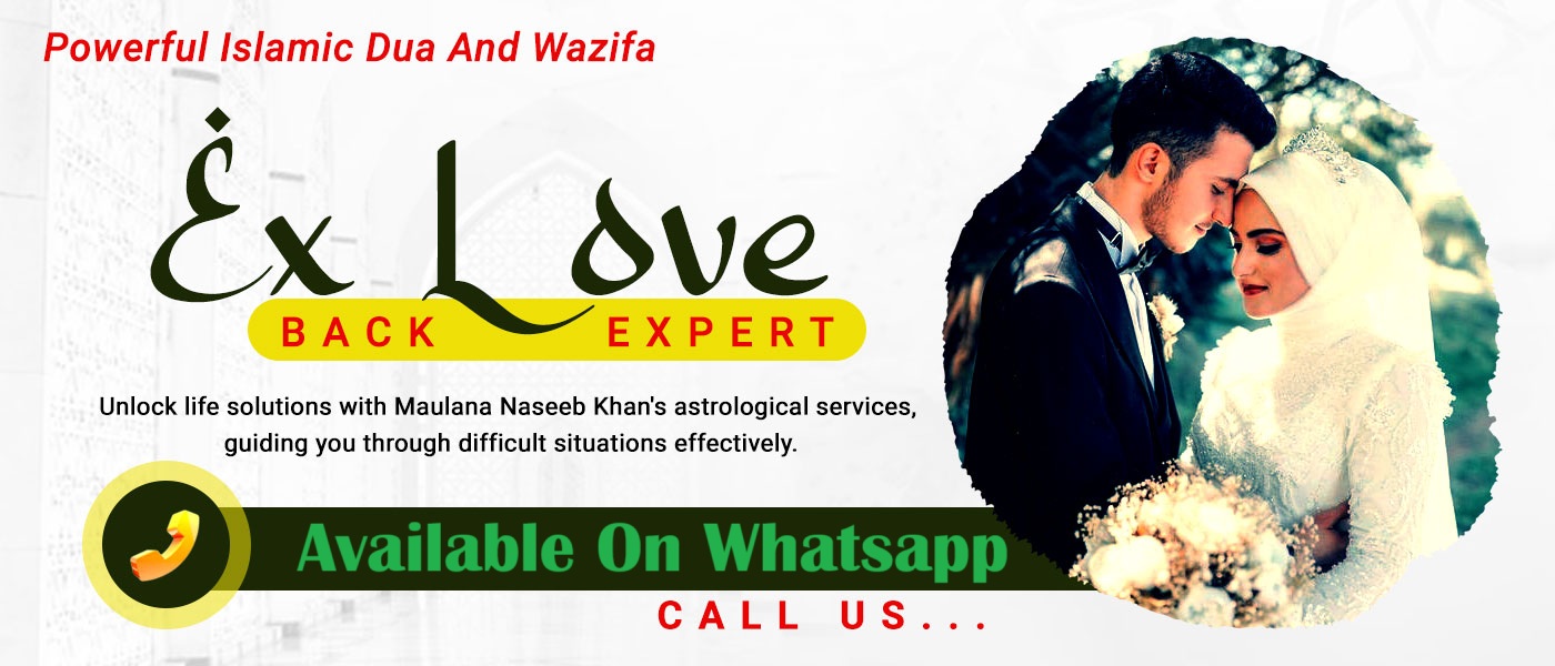 Ex Love Back Expert